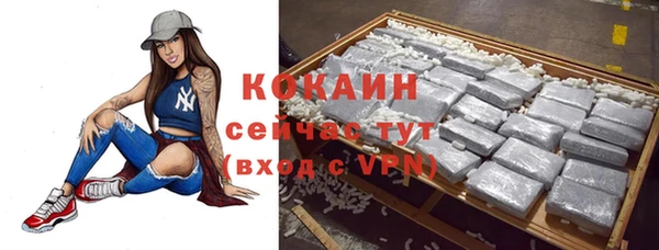 мет Алексин
