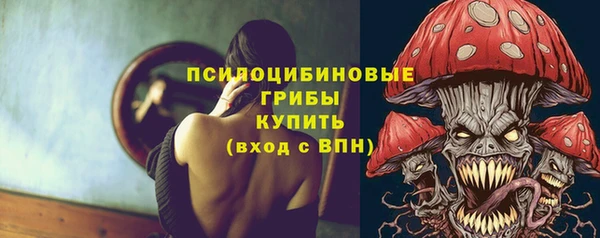 амф Елизово